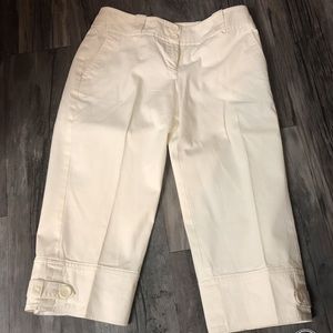 Ann Taylor Loft Knickers